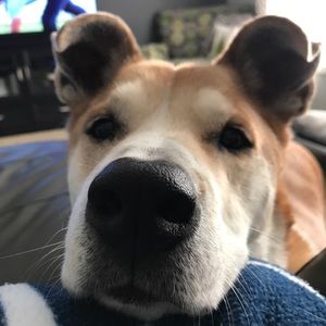 Meet your Posher, Rich